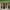 https://res.cloudinary.com/billionhands/image/upload/v1774880992/items/vubjufqpivb3w6m3mqgx.jpg-3cover
