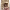 https://res.cloudinary.com/billionhands/image/upload/v1774880999/items/gob0sgda0pzpfiibtnmj.png-1cover