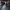 https://res.cloudinary.com/billionhands/image/upload/v1774881193/items/c2xiaydxu2cjmbt2se4d.webp-2cover