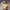 https://res.cloudinary.com/billionhands/image/upload/v1774881205/items/diwn0end2xobu1drafrq.jpg-2cover