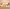 https://res.cloudinary.com/billionhands/image/upload/v1774881213/items/zkymf7fplgx2zagslpl1.webp-3cover