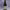https://res.cloudinary.com/billionhands/image/upload/v1774881246/items/updgepdmvsal0ruv57w7.webp-0cover