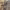 https://res.cloudinary.com/billionhands/image/upload/v1774881338/items/wrnaiz26gkcece3dmobx.jpg-3cover