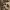 https://res.cloudinary.com/billionhands/image/upload/v1774881340/items/xvbli5eihrdsf8k8y5y4.jpg-1cover