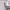 https://res.cloudinary.com/billionhands/image/upload/v1774881373/items/xsr4evylwatzoghueohj.jpg-1cover