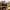 Valencia: Clase de Cocina de Paella con Tour por el Mercado Central (GetYourGuide) cover