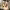 https://res.cloudinary.com/billionhands/image/upload/v1774881680/items/i81bdldkwrjxm92h6cwg.png-3cover