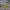 https://res.cloudinary.com/billionhands/image/upload/v1774882206/items/c234apzdnzgzzrl5wdrg.png-1cover