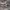https://res.cloudinary.com/billionhands/image/upload/v1774882209/items/sup3guvldpelqhroqlps.jpg-2cover