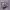 https://res.cloudinary.com/billionhands/image/upload/v1774882242/items/ypm7i5m7as2pr5ciheyz.jpg-0cover