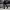 https://res.cloudinary.com/billionhands/image/upload/v1774882443/items/gp3bgwli3rq7o9ahlsq3.webp-1cover