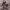 https://res.cloudinary.com/billionhands/image/upload/v1774882447/items/yfmcvgugf4yqymf98woa.webp-2cover
