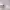 https://res.cloudinary.com/billionhands/image/upload/v1774882598/items/jjedgluic0tv2ufcfn18.webp-2cover
