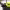 https://res.cloudinary.com/billionhands/image/upload/v1774882614/items/s4rq4j1s4ar2ygl7kco4.jpg-0cover