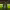 https://res.cloudinary.com/billionhands/image/upload/v1774882628/items/hwrjeqsrwzxg2zxoenbm.jpg-0cover