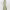 Party dress in pastel colors (Mac Duggal) cover