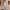 https://res.cloudinary.com/billionhands/image/upload/v1774882685/items/zc4u7phue8qmgrm9fyje.jpg-0cover