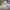 https://res.cloudinary.com/billionhands/image/upload/v1774882690/items/l3h4weeamvn0dia2lugr.avif-3cover
