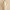 https://res.cloudinary.com/billionhands/image/upload/v1774882714/items/hdz8seycl4wqvncmvatv.webp-0cover