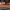 https://res.cloudinary.com/billionhands/image/upload/v1774882740/items/si5bnpgsbmqvam6m9eek.jpg-2cover