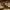 https://res.cloudinary.com/billionhands/image/upload/v1774882750/items/tdgpquetbuct7vvwenvc.jpg-2cover
