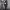 https://res.cloudinary.com/billionhands/image/upload/v1774882757/items/g4uz7kdmuqbqfvrgy2jp.webp-2cover
