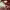 https://res.cloudinary.com/billionhands/image/upload/v1774882783/items/ncmhbdv62dnujecvkwq9.webp-1cover