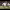 https://res.cloudinary.com/billionhands/image/upload/v1774883203/items/yqg0z4ohrdn4t9rqkwlp.jpg-2cover