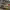 https://res.cloudinary.com/billionhands/image/upload/v1774883275/items/pwjjovzcje9oylke5ste.jpg-0cover