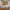 https://res.cloudinary.com/billionhands/image/upload/v1774883287/items/cujjxw677s5supn8b1dv.png-2cover