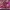 https://res.cloudinary.com/billionhands/image/upload/v1774883663/items/os8wufwrmzk6odrukiyc.jpg-3cover