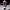 https://res.cloudinary.com/billionhands/image/upload/v1774883724/items/m0eda2o8xkshbyksivph.jpg-3cover
