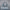 https://res.cloudinary.com/billionhands/image/upload/v1774883855/items/alx48rjghxlr4bqzcnke.jpg-3cover