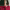 https://res.cloudinary.com/billionhands/image/upload/v1774883856/items/p3fd1ngp3tmsqgbwlvof.avif-0cover