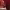 https://res.cloudinary.com/billionhands/image/upload/v1774884045/items/n1uc4h4q6hg56wyvdrxc.jpg-3cover