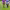 https://res.cloudinary.com/billionhands/image/upload/v1774884050/items/efdlbq9lgtk0jhwbct6p.webp-2cover