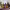 what do you see in me? (Paloma Morphy, Emjay) (2026) cover