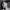 https://res.cloudinary.com/billionhands/image/upload/v1774884441/items/dhjk7ihcxgbyz7dsoeyj.jpg-3cover
