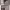 https://res.cloudinary.com/billionhands/image/upload/v1774884444/items/wn1n05dcvyblbvw6gsjf.jpg-3cover