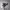 https://res.cloudinary.com/billionhands/image/upload/v1774884446/items/xhxw2bwxd0gc9qm2ppy3.jpg-2cover