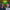 https://res.cloudinary.com/billionhands/image/upload/v1774884538/items/fjdux9nnk22zz09bhlm3.jpg-0cover