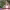 https://res.cloudinary.com/billionhands/image/upload/v1774884542/items/j0kquktypsbc8ehd0bbv.jpg-2cover