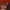 https://res.cloudinary.com/billionhands/image/upload/v1774884556/items/lwc4ig653nevg58uuzdh.jpg-1cover