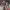 https://res.cloudinary.com/billionhands/image/upload/v1774884860/items/hbeiomcthyyujt7gokgq.png-1cover
