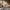 https://res.cloudinary.com/billionhands/image/upload/v1774884956/items/h6jvvh1ahrbkzrlqmbxk.jpg-1cover
