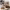https://res.cloudinary.com/billionhands/image/upload/v1774885124/items/higvxzubusfuvc1sgbt1.png-0cover