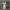 https://res.cloudinary.com/billionhands/image/upload/v1774885178/items/qf4rffmrlae7o7g2s9rv.webp-0cover