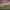 https://res.cloudinary.com/billionhands/image/upload/v1774885243/items/tjtnzmv00cgajey03vur.jpg-1cover