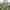 https://res.cloudinary.com/billionhands/image/upload/v1774885323/items/e2shhczuddunukkco8d3.jpg-0cover