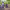 https://res.cloudinary.com/billionhands/image/upload/v1774885350/items/ypnwxit3fv8ncxecxbsf.jpg-1cover